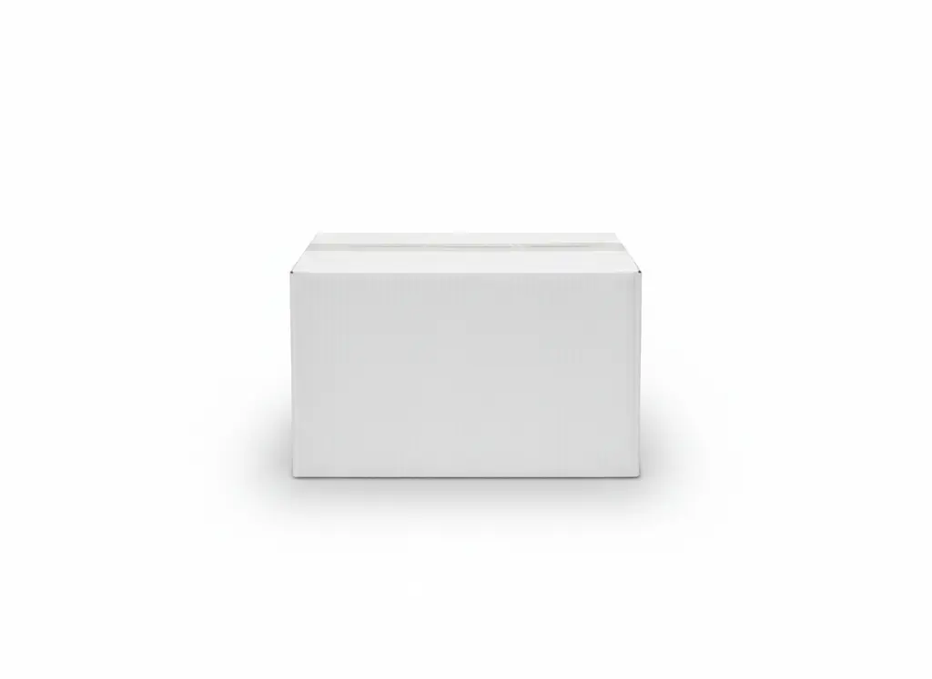 CAJA VIEIRA.webp