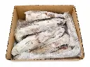 CAJA CALAMARES POTERA.webp