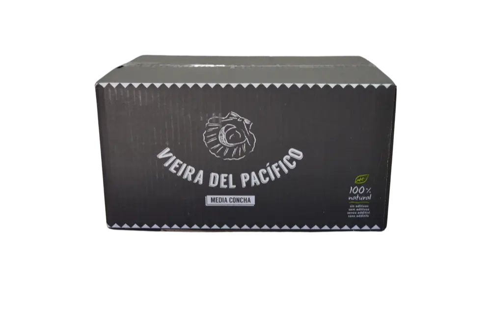 5- Vieira media concha copia.webp