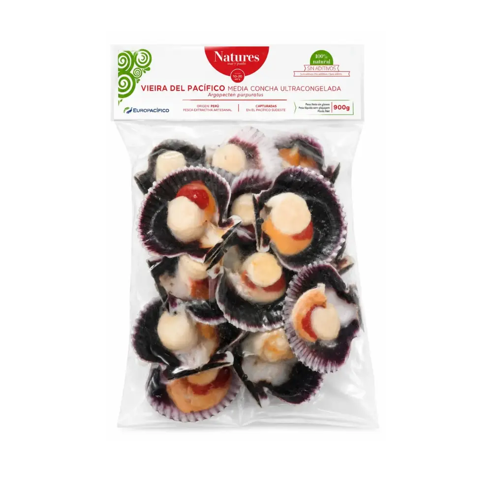 BOLSA VIEIRA.webp