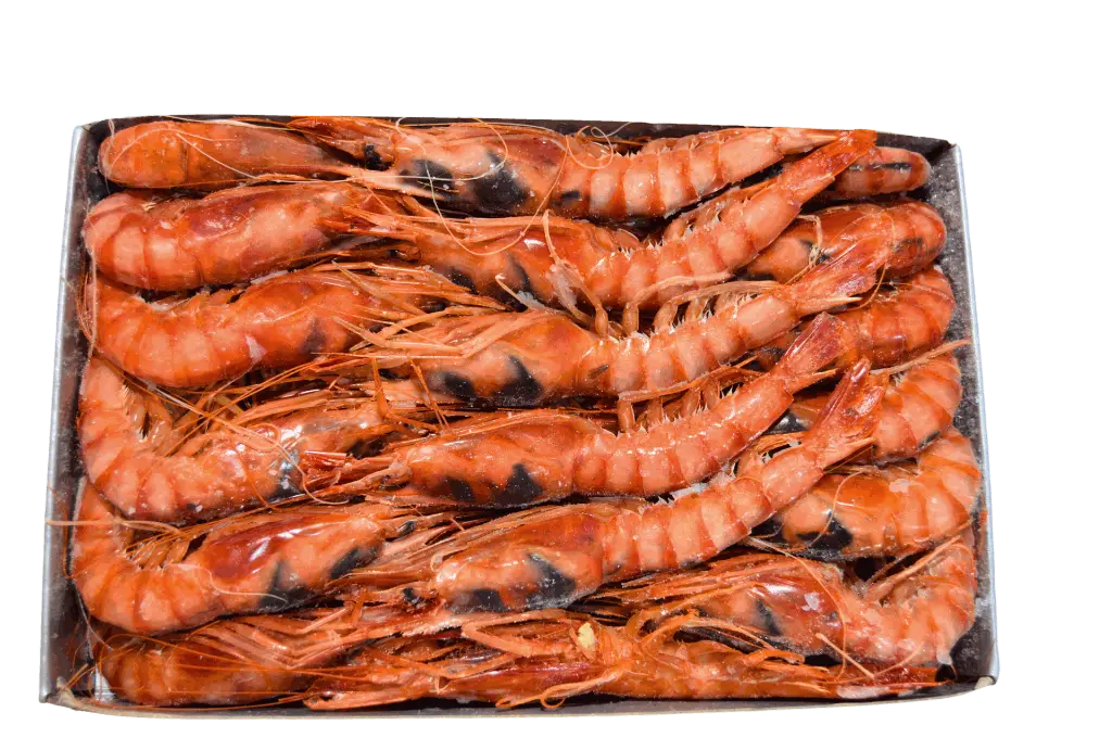 4- Alistado copia.webp