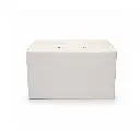 CAJA VERDURAS TEMPURA.webp