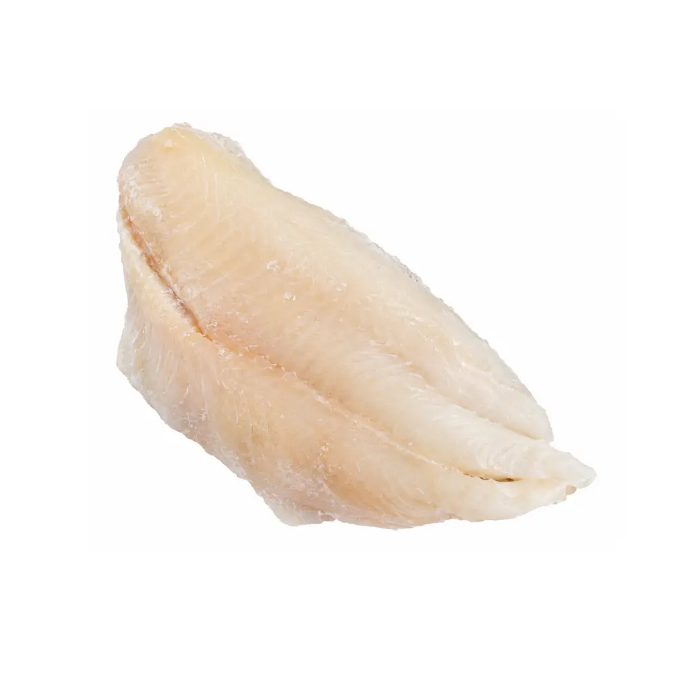 PALOMETA.webp