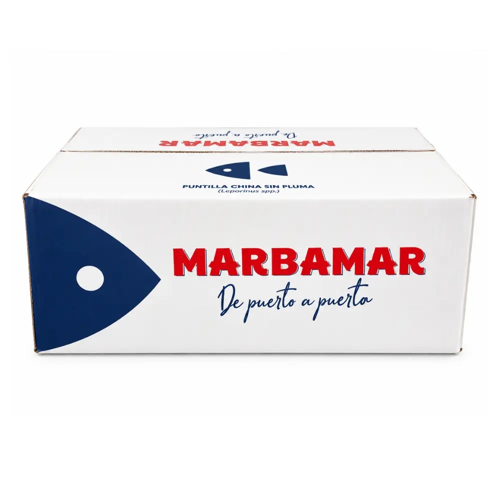 CAJA PUNTILLA.webp