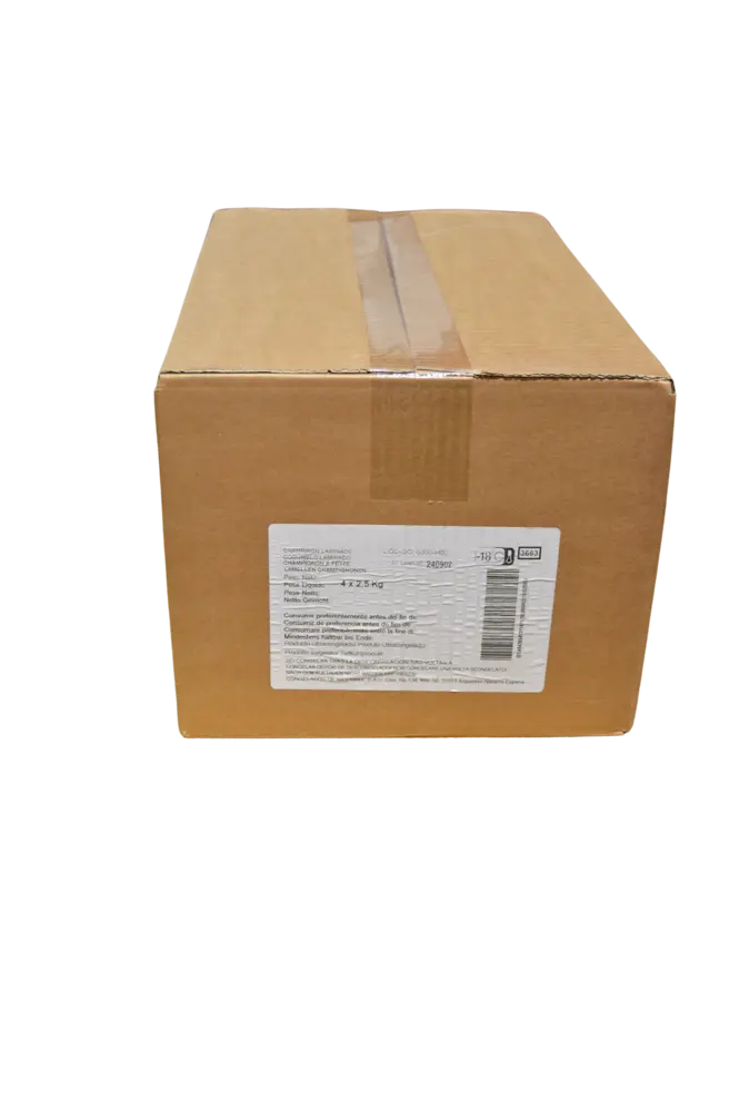 19-Champiñon laminado copia 2.webp