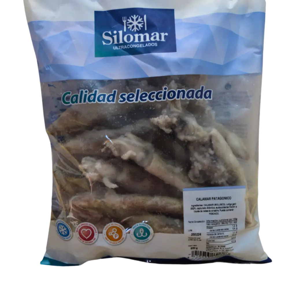 42- Calamar patagónico.webp