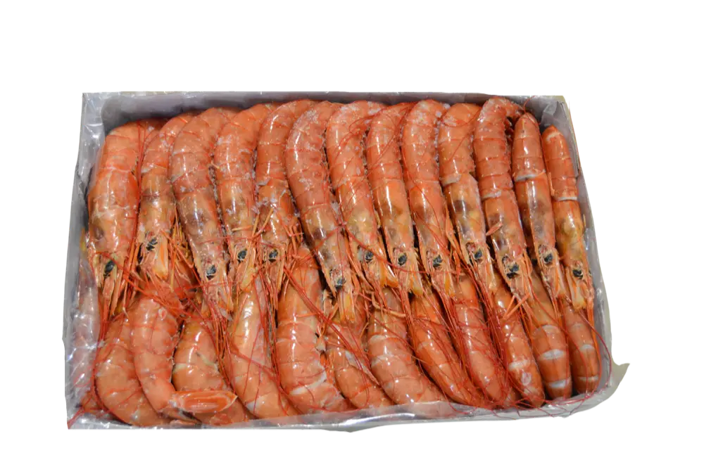 gambón crudo copia.webp