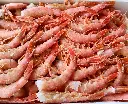 gamba rosa S.webp