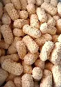 croqueta de jamon extra.webp