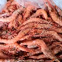 gamba 5.webp