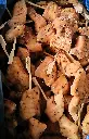 mini brocheta de pollo_.webp