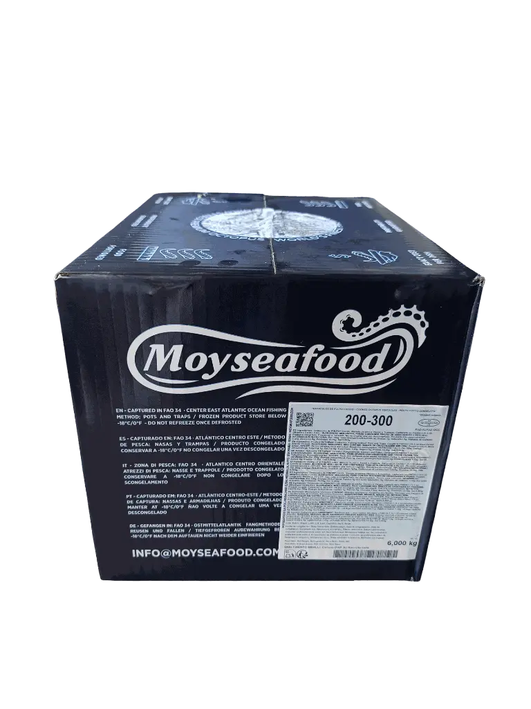 caja tentáculo 200_300.webp