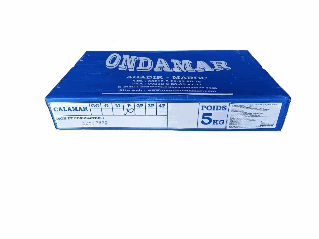 caja calamar P (1).webp