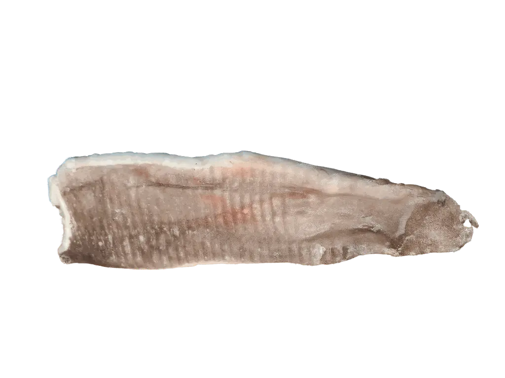 filete corvina - Editada.webp