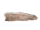 filete corvina - Editada.webp