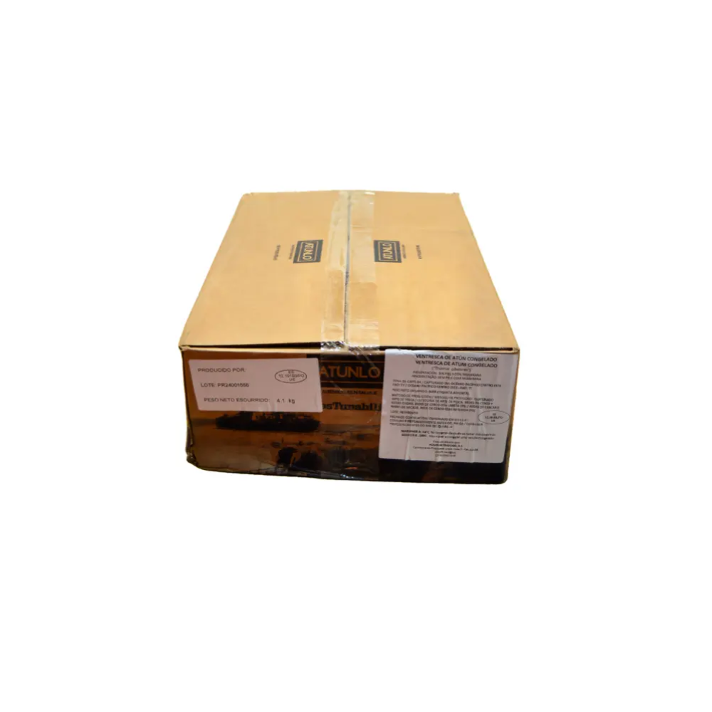 CAJA VENTRESCA.png