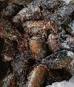 cabeza de bogavante.webp