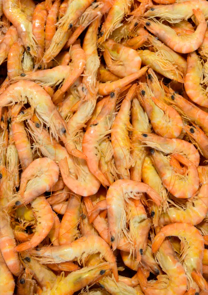 2- Langostino W cocido copia 3.webp