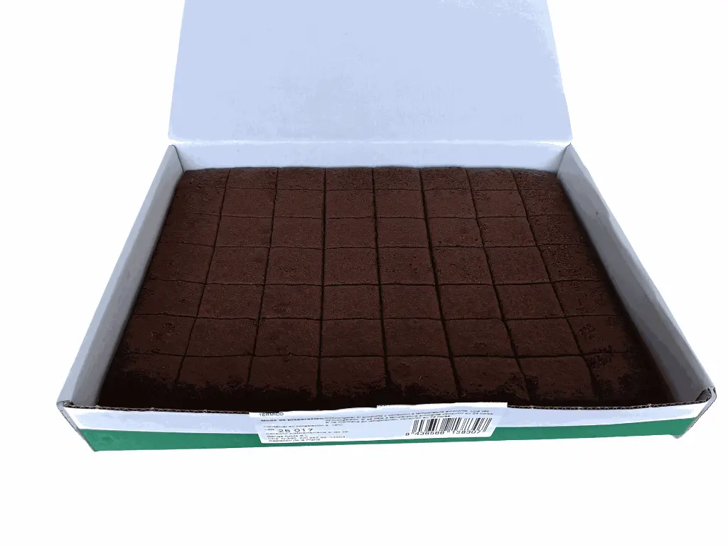 plancha brownie.webp