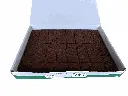 plancha brownie.webp