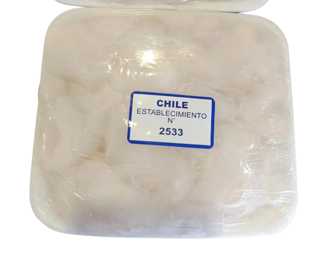 cococha suraustral.webp