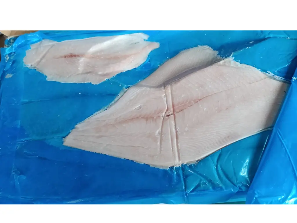 filete palometa.webp
