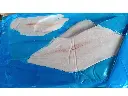 filete palometa.webp