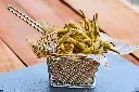 GUINDILLA EN TEMPURA 250GRS (caja 10 und)