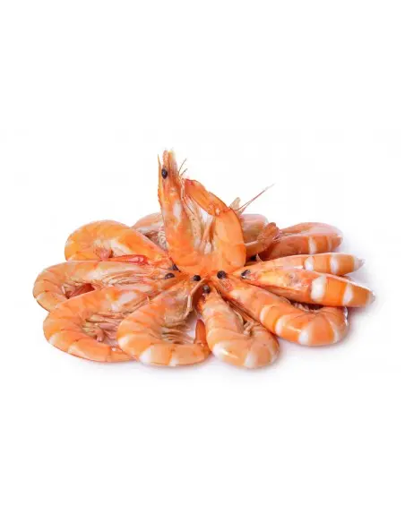 LANGOSTINO COCIDO 3 ORO