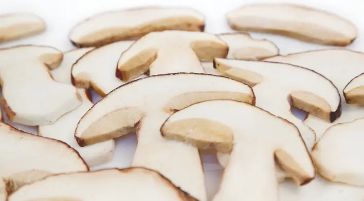 BOLETUS LAMINADO