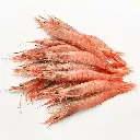 GAMBA ROJA CRUDA