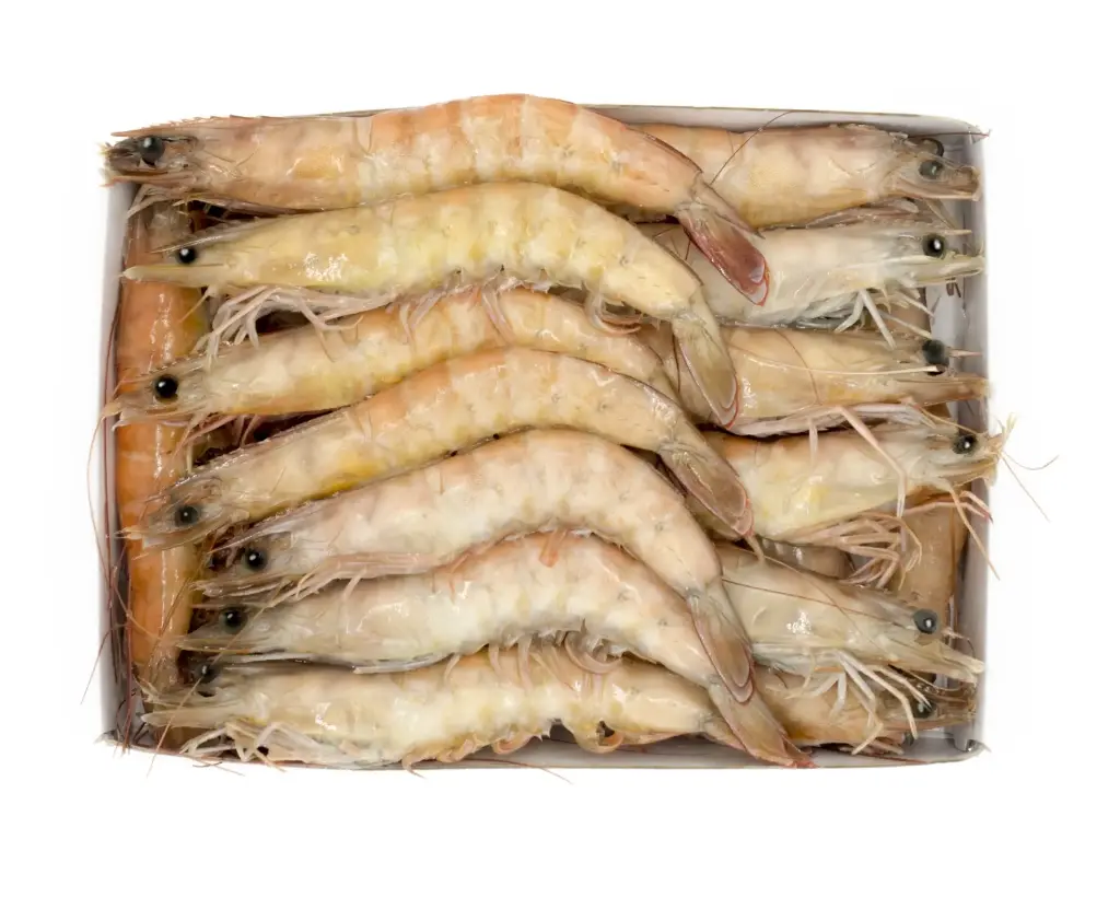 LANGOSTINO COCIDO SALVAJE 80/100