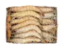 LANGOSTINO COCIDO SALVAJE 80/100