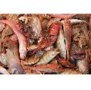 MORRALLA (caja 4kg)
