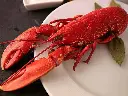 BOGAVANTE (Caja 10kg)