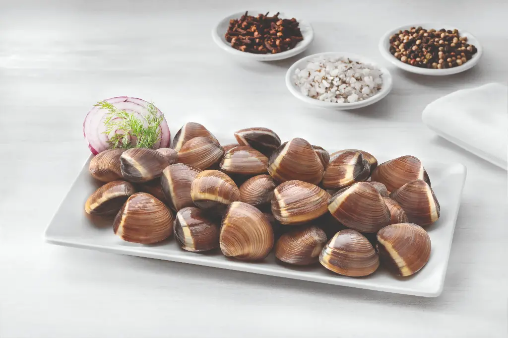 ALMEJA LIMPIA (Caja 6kg)