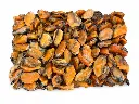 MEJILLON GRANO G (CAJA 3KG)