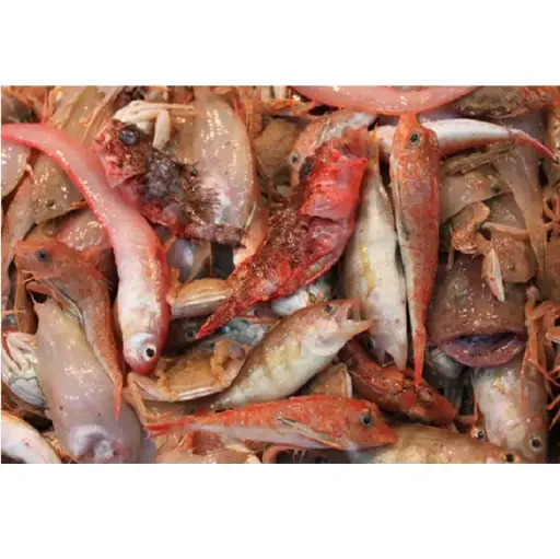 MORRALLA (caja 4kg)