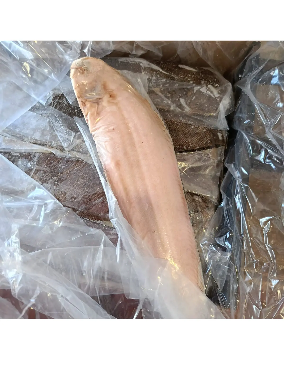 Producto Principal